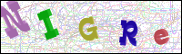 Görüntü Doğrulama